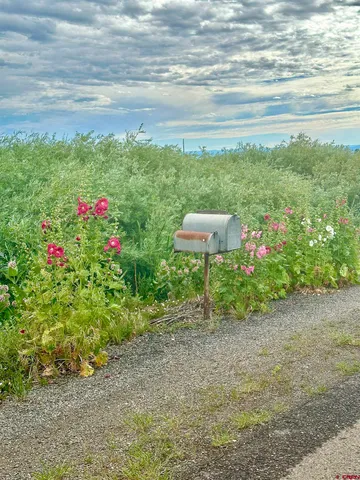 $450,000 | Tbd Lot 1 Tbd Road, Hotchkiss, CO 81419