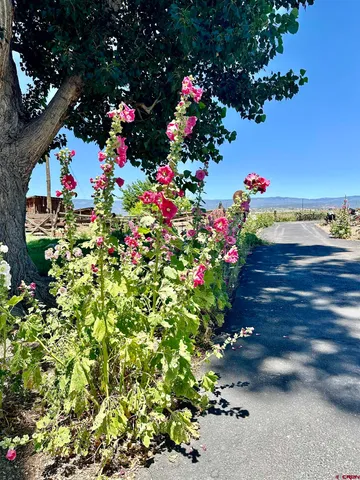 $450,000 | Tbd Lot 1 Tbd Road, Hotchkiss, CO 81419