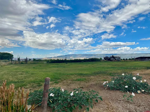 $450,000 | Tbd Lot 1 Tbd Road, Hotchkiss, CO 81419
