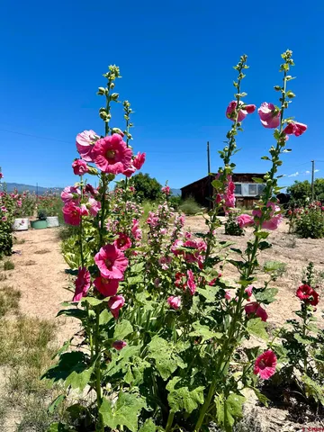 $450,000 | Tbd Lot 1 Tbd Road, Hotchkiss, CO 81419