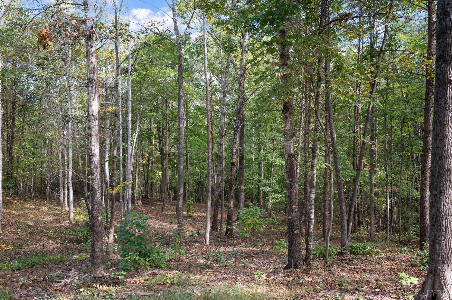 5211 Covered Bridge Road Gladys, VA 24554 - Photo 39 of 49