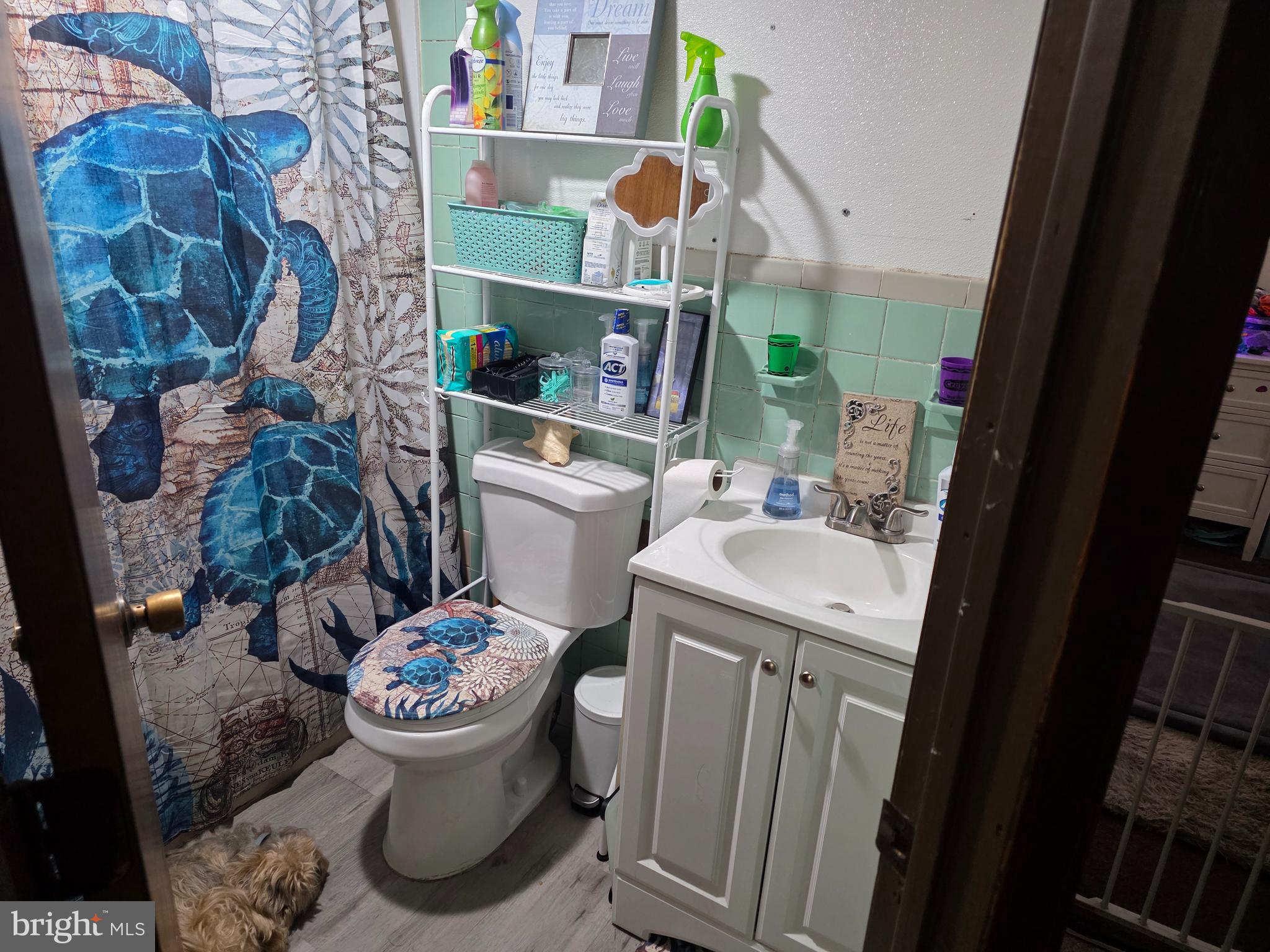 301 Franklin Street Croydon, PA 19021 - Photo 8 of 23 a bathroom with a sink toilet and shower curtain