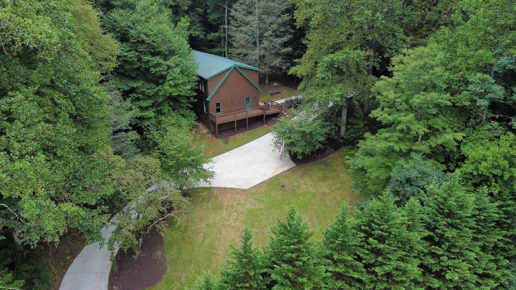 1013 Highway 60 Suches, GA 30572 - Photo 6 of 46
