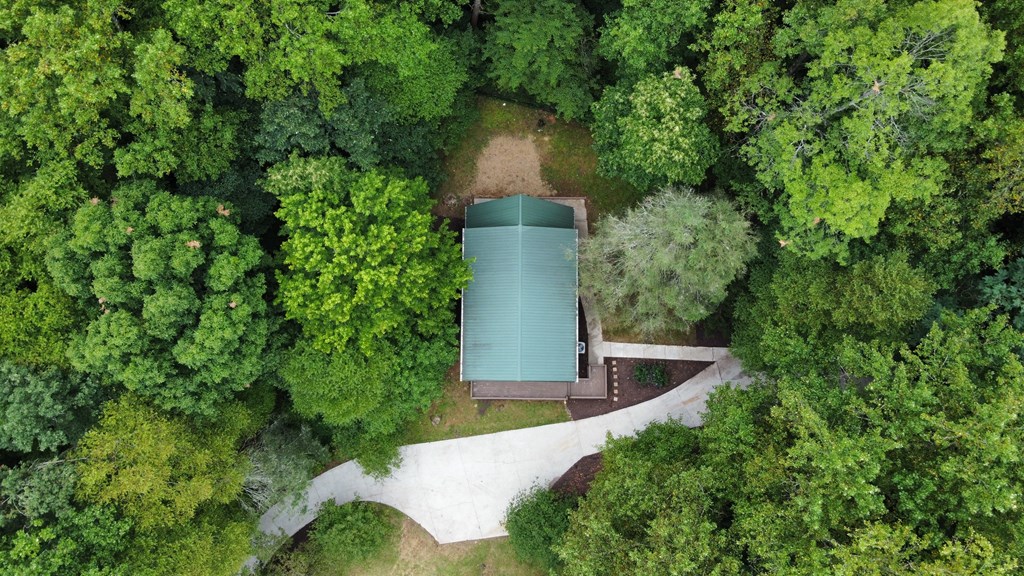 1013 Highway 60 Suches, GA 30572 - Photo 8 of 46