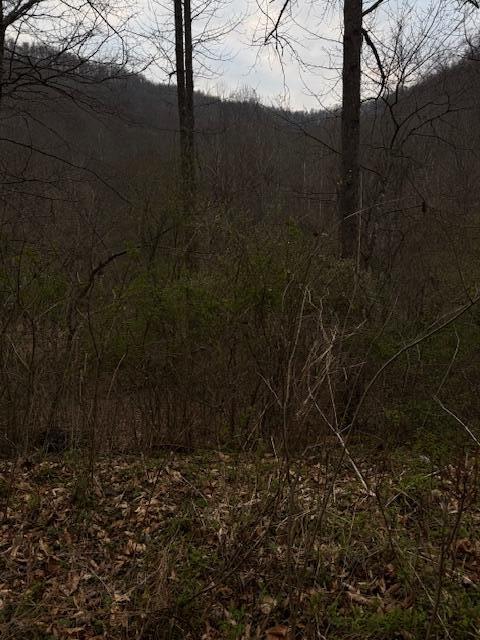 9999 Paint Gap Road Flat Lick, KY 40935 - Photo 2 of 3 paint gap 2