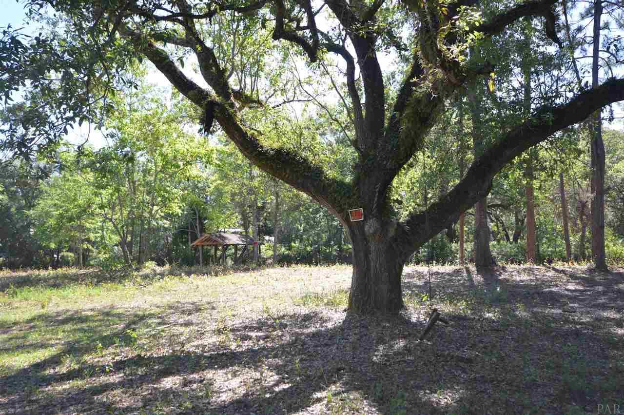 4748 Little Pelican Road Milton, FL 32583 - Photo 13 of 27 Gallery Image 13