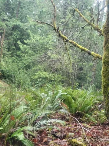 $9,999 | 1 GD 2048 Road, Union, WA 98592