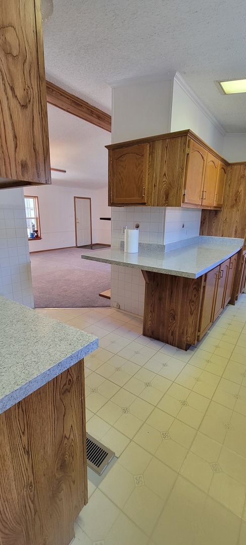 25746 Merion Drive, Unit 17 Monee, IL 60449 - Photo 15 of 21