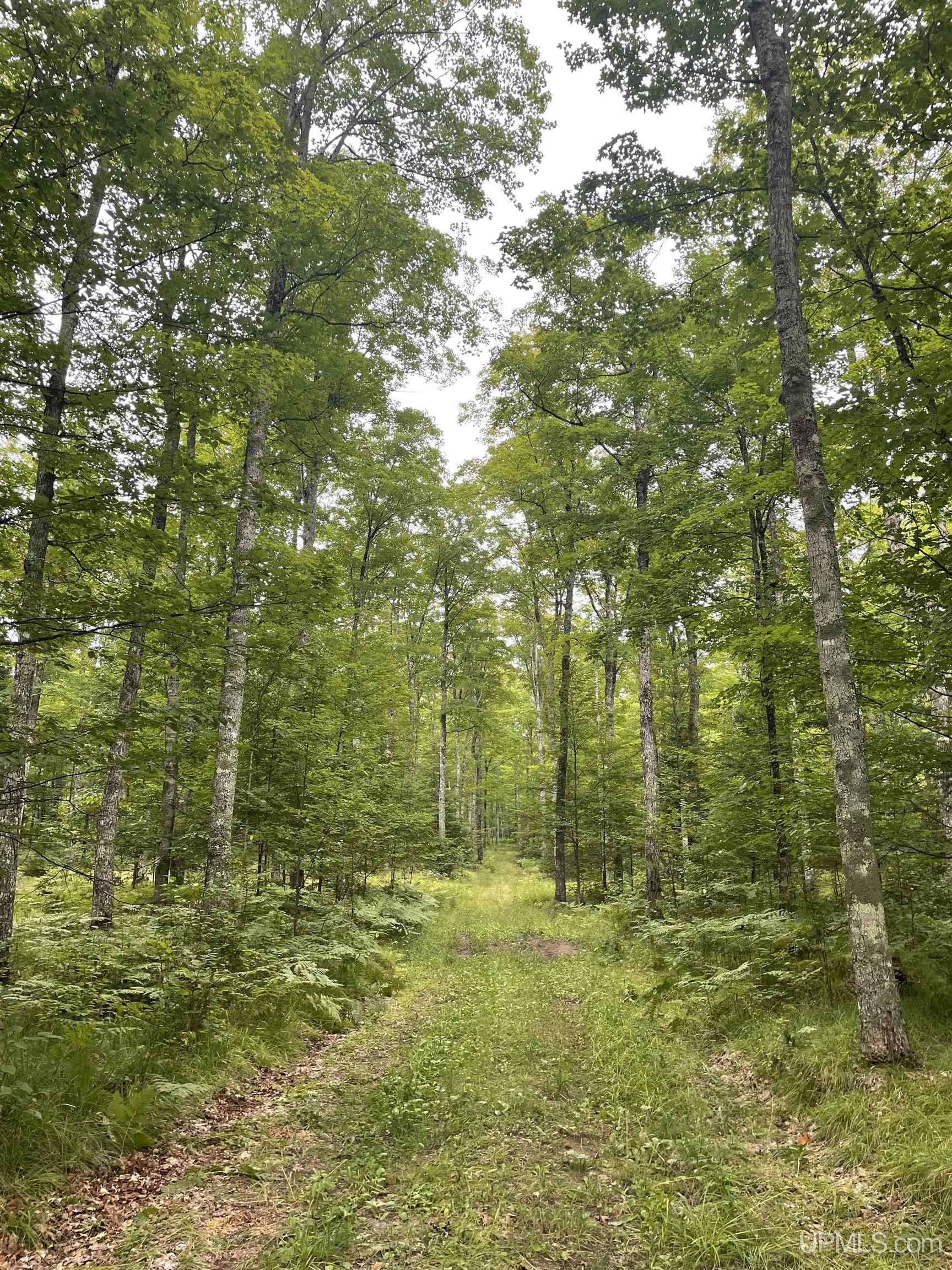 Tbd Tbd County Road, Unit 1 Cornell, MI 49818 - Photo 33 of 41