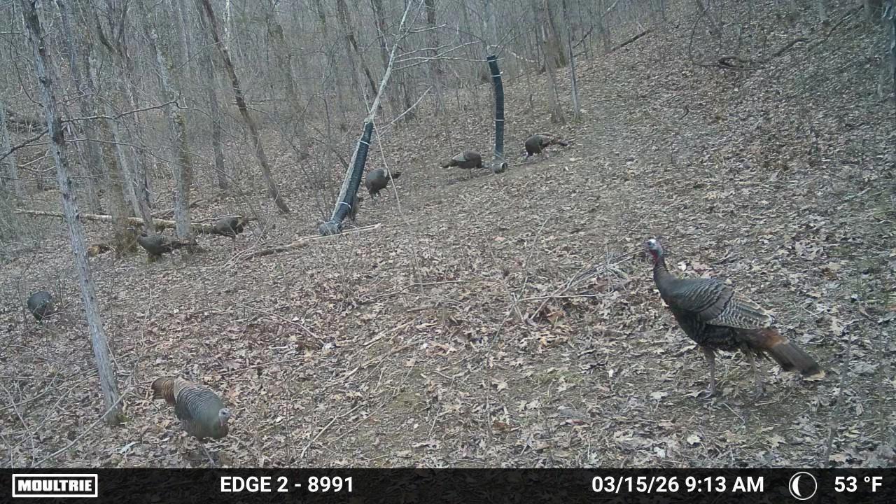 10792 New Columbus Road Owenton, KY 40359 - Photo 6 of 22 WL8