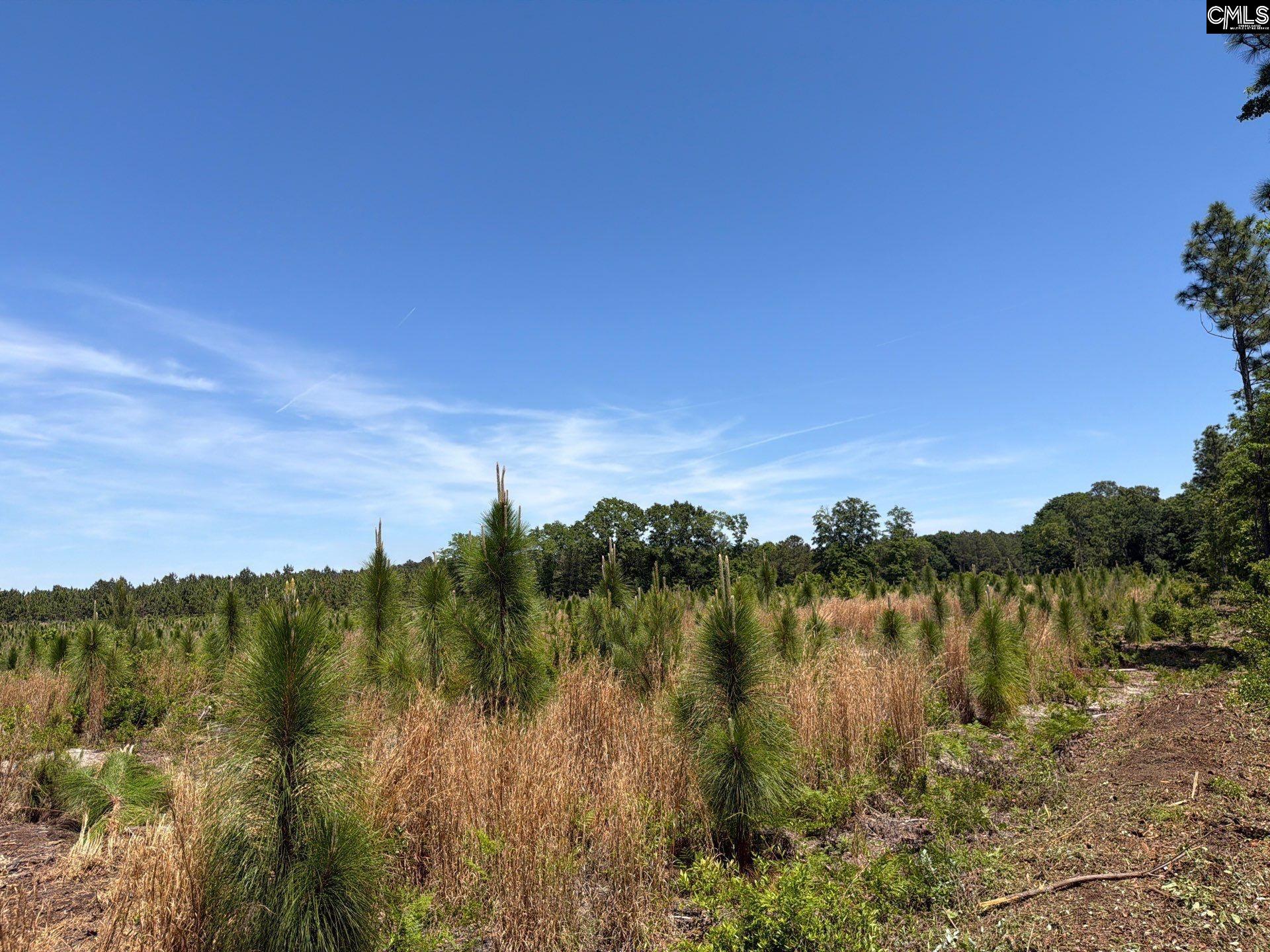 3 Holstein Road Monetta, SC 29105 - Photo 13 of 17