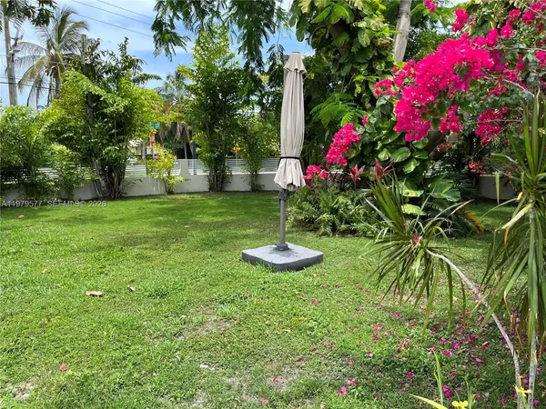 a view of a garden with plants and large trees