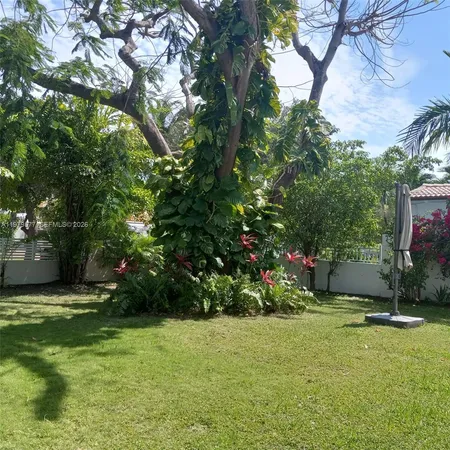 a view of a garden with plants and trees