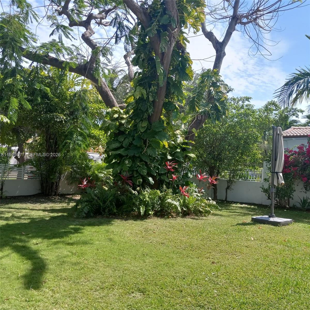 6910 Rue Notre Dame Miami Beach, FL 33141 - Photo 9 of 24 a view of a garden with plants and trees