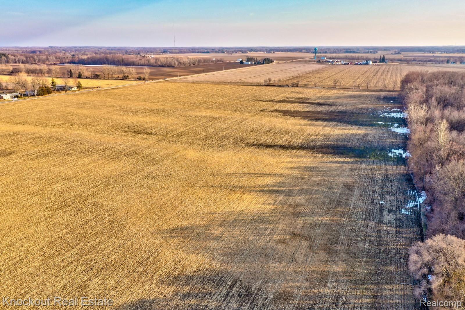 10665 South Dehmel Road Birch Run, MI 48415 - Photo 36 of 41 9900 Canada-6.jpg
