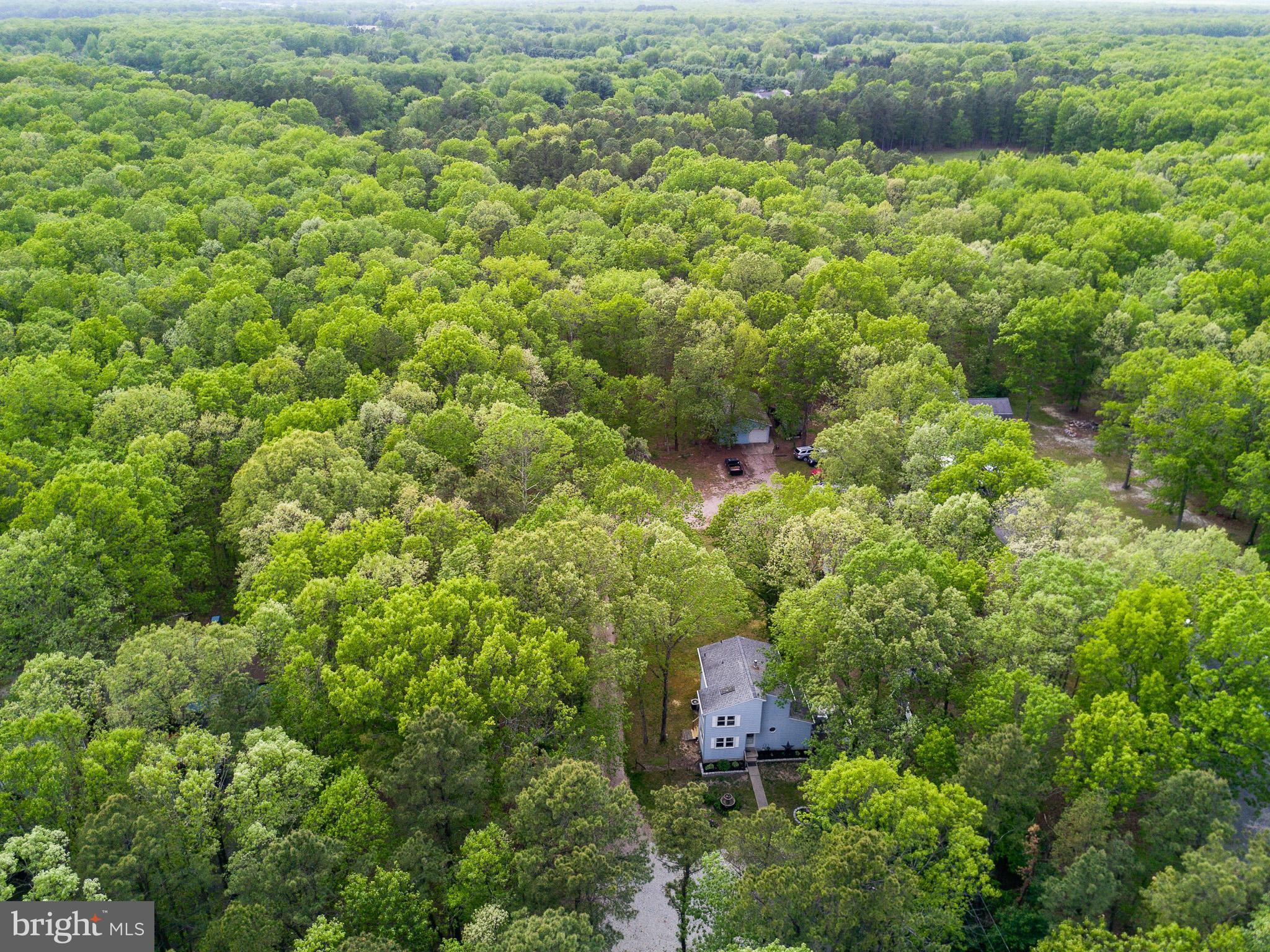 813 Whitehall Road Newfield, NJ 08344 - Photo 31 of 35 Aerial view of property offers PRIVACY