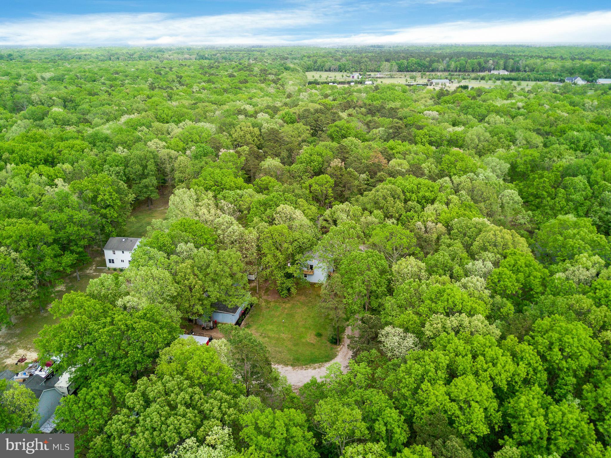 813 Whitehall Road Newfield, NJ 08344 - Photo 33 of 35