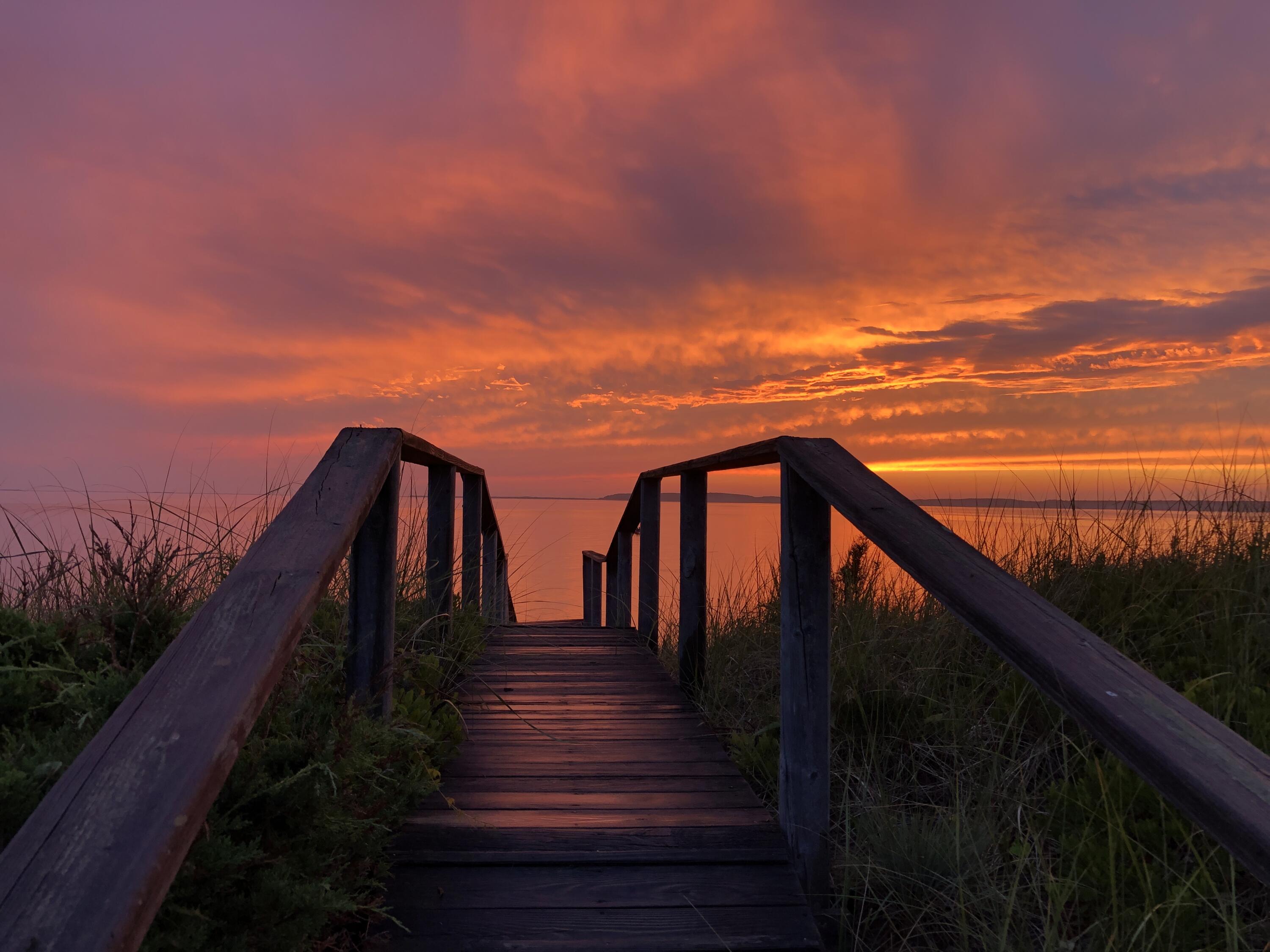 125 2nd Street Wellfleet, MA 02667 - Photo 75 of 75 Steps to the beach