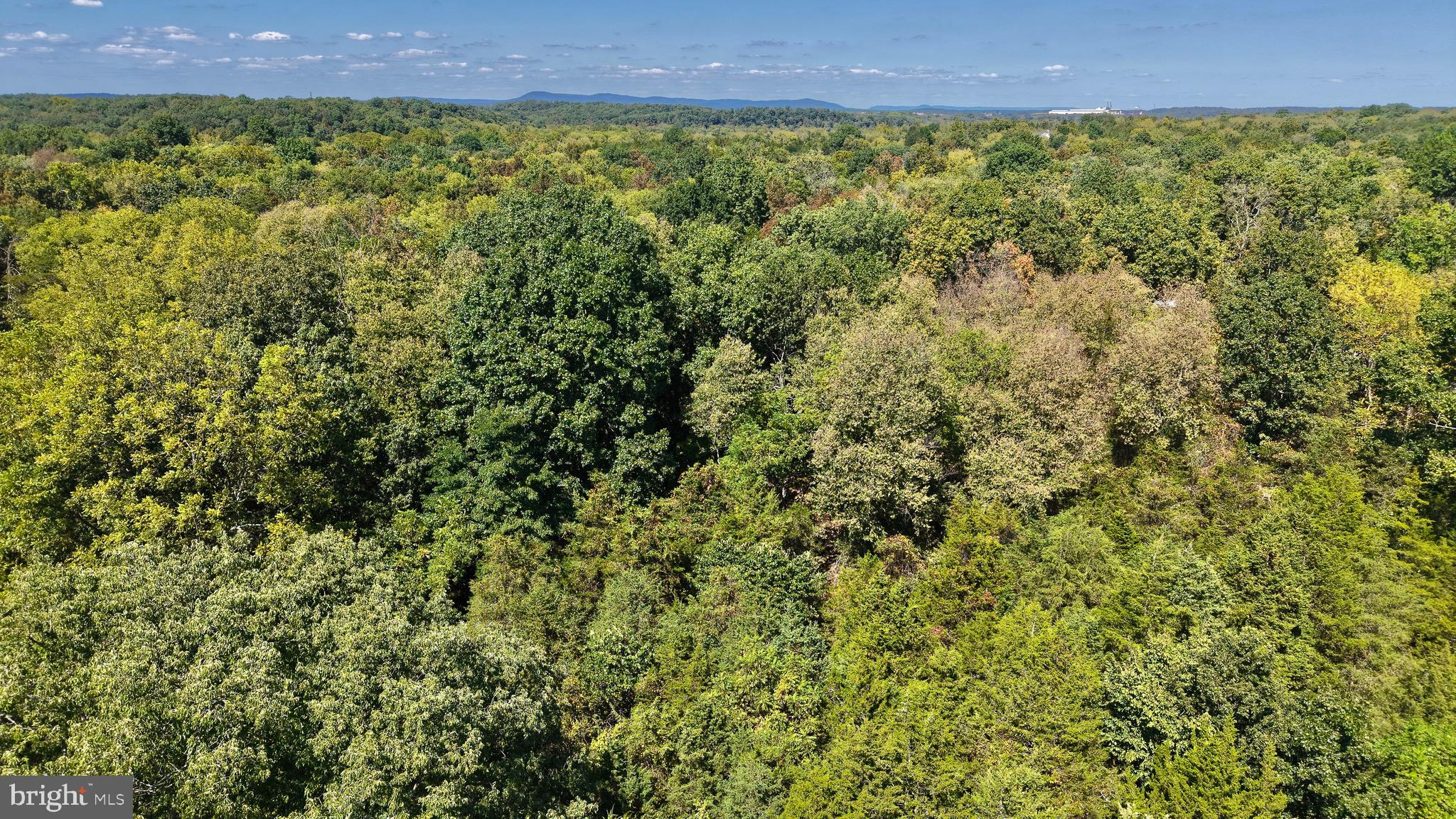 Lot 50 Coachman Run Road Martinsburg, WV 25404 - Photo 9 of 9