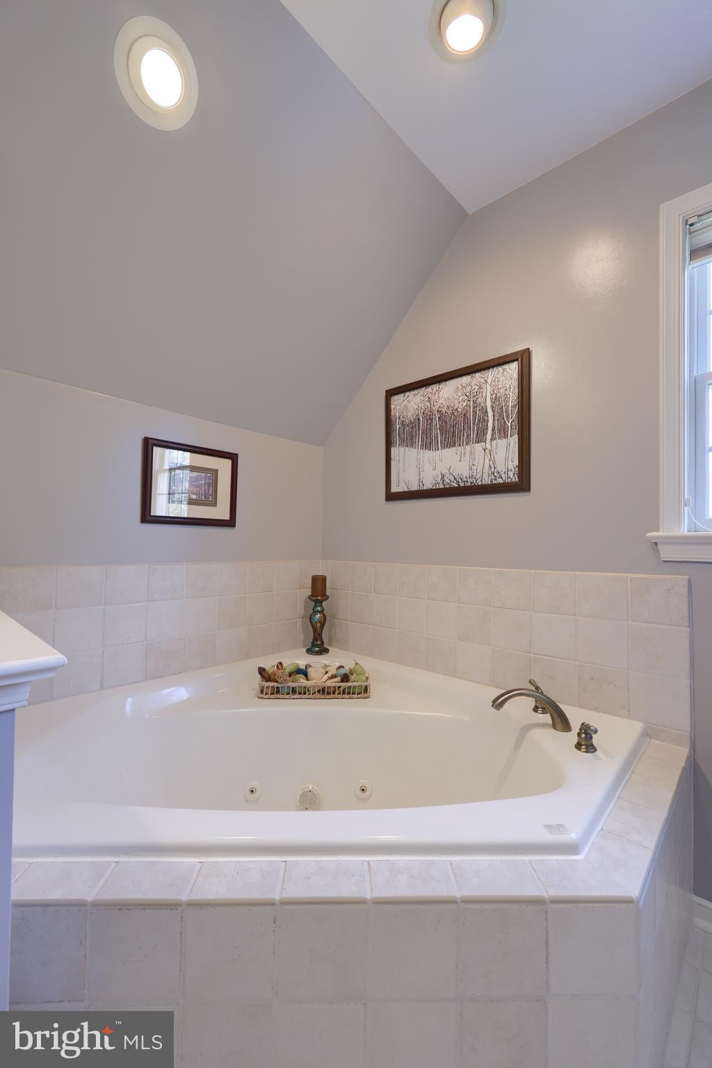 362 Squire Lane Lititz, PA 17543 - Photo 21 of 49 a bathroom with a tub and a painting on the wall