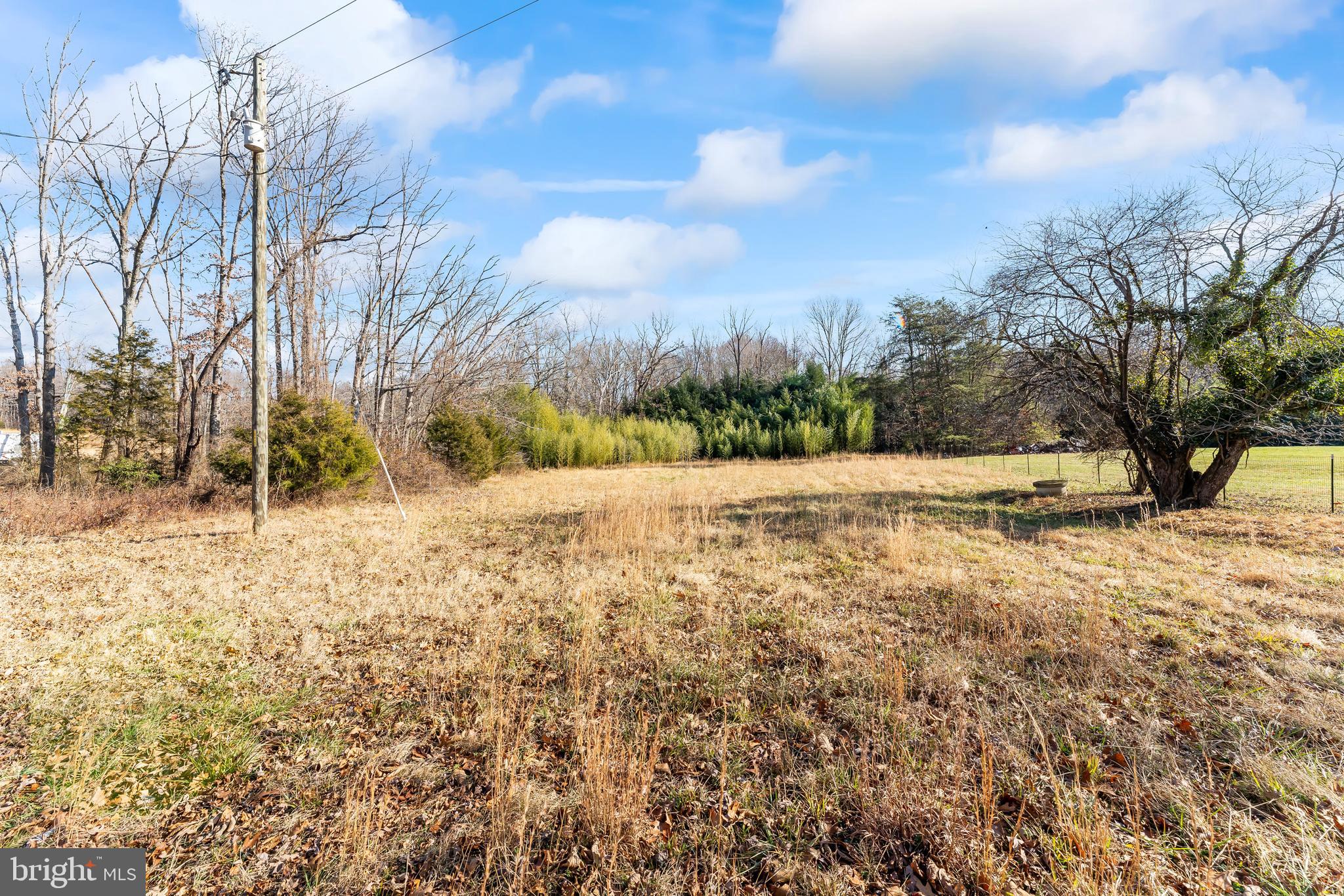 5719 Beverleys Mill Road Broad Run, VA 20137 - Photo 24 of 38 Cleared area