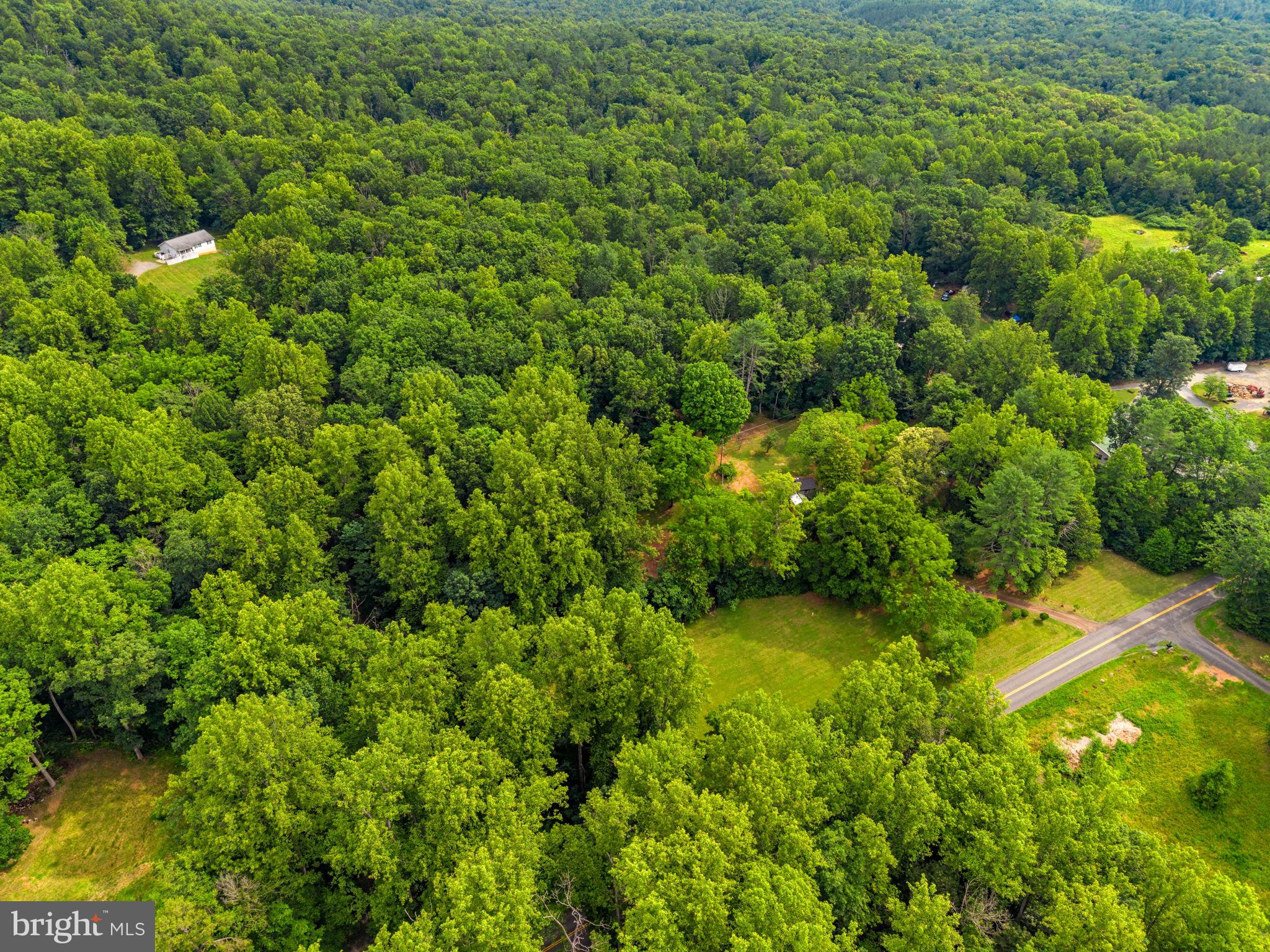 2303 West Hoover Road Haywood, VA 22722 - Photo 46 of 69