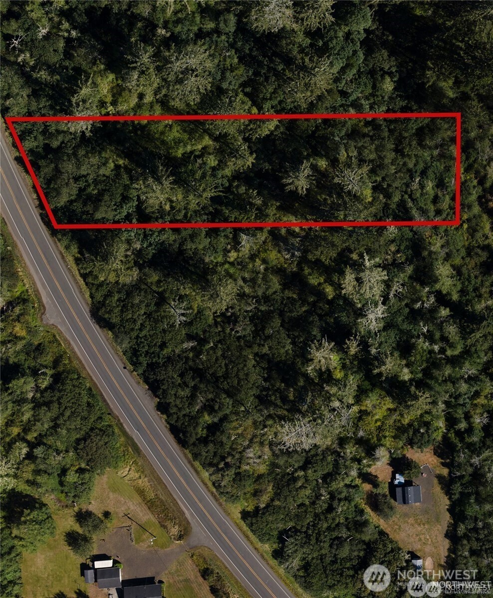 0 State Route 105 Grayland, WA 98547 - Photo 2 of 4 a view of a outdoor space