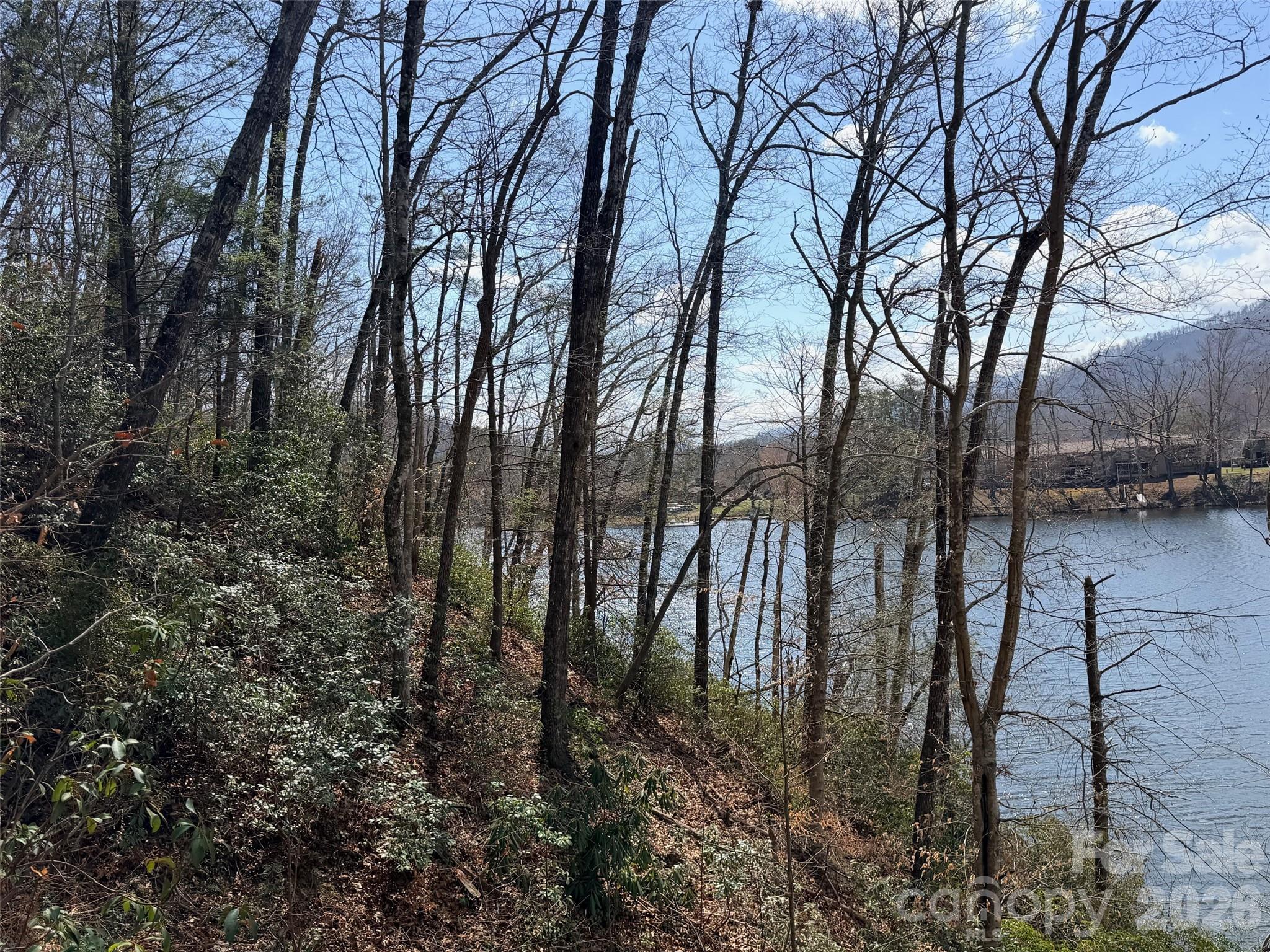 0 Buffalo Creek Road Lake Lure, NC 28746 - Photo 11 of 33 a view of a yard with lots of trees