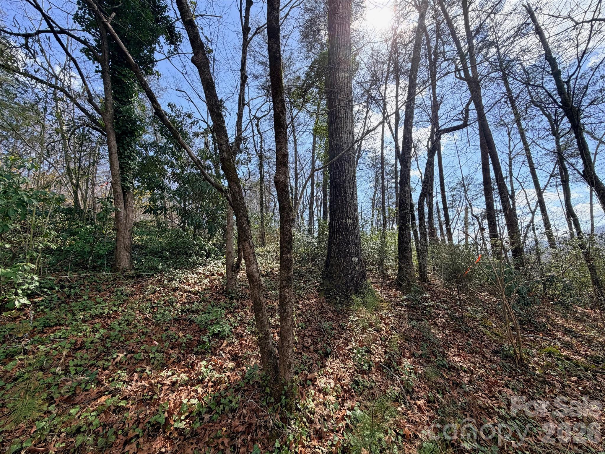 0 Buffalo Creek Road Lake Lure, NC 28746 - Photo 12 of 33 a big yard with lots of green space