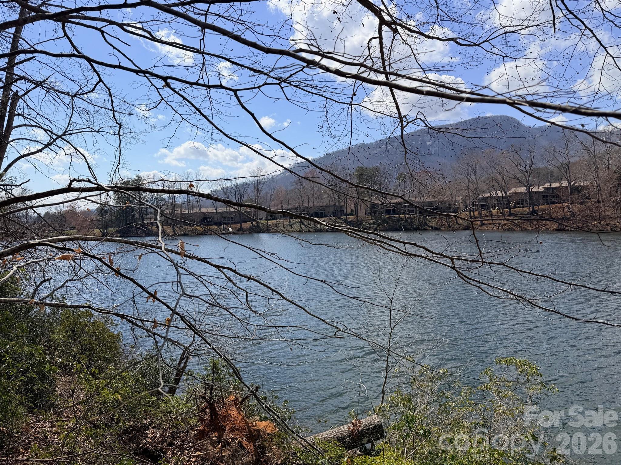 0 Buffalo Creek Road Lake Lure, NC 28746 - Photo 14 of 33 a view of a backyard