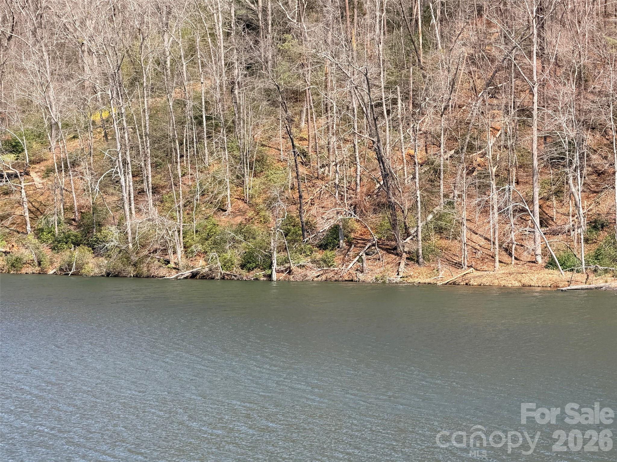 0 Buffalo Creek Road Lake Lure, NC 28746 - Photo 15 of 33