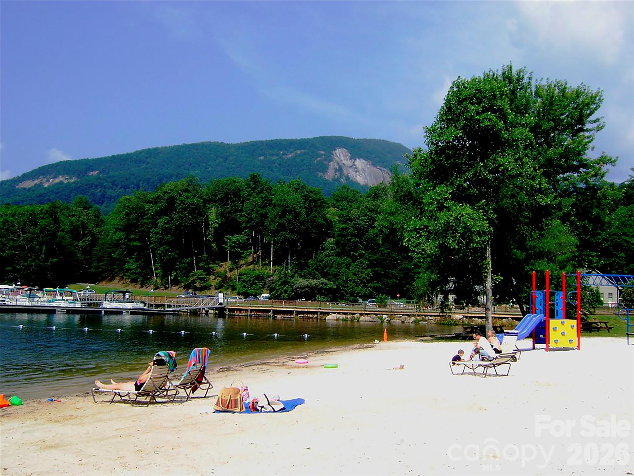 0 Buffalo Creek Road Lake Lure, NC 28746 - Photo 19 of 33 a view of a lake with a bench and trees