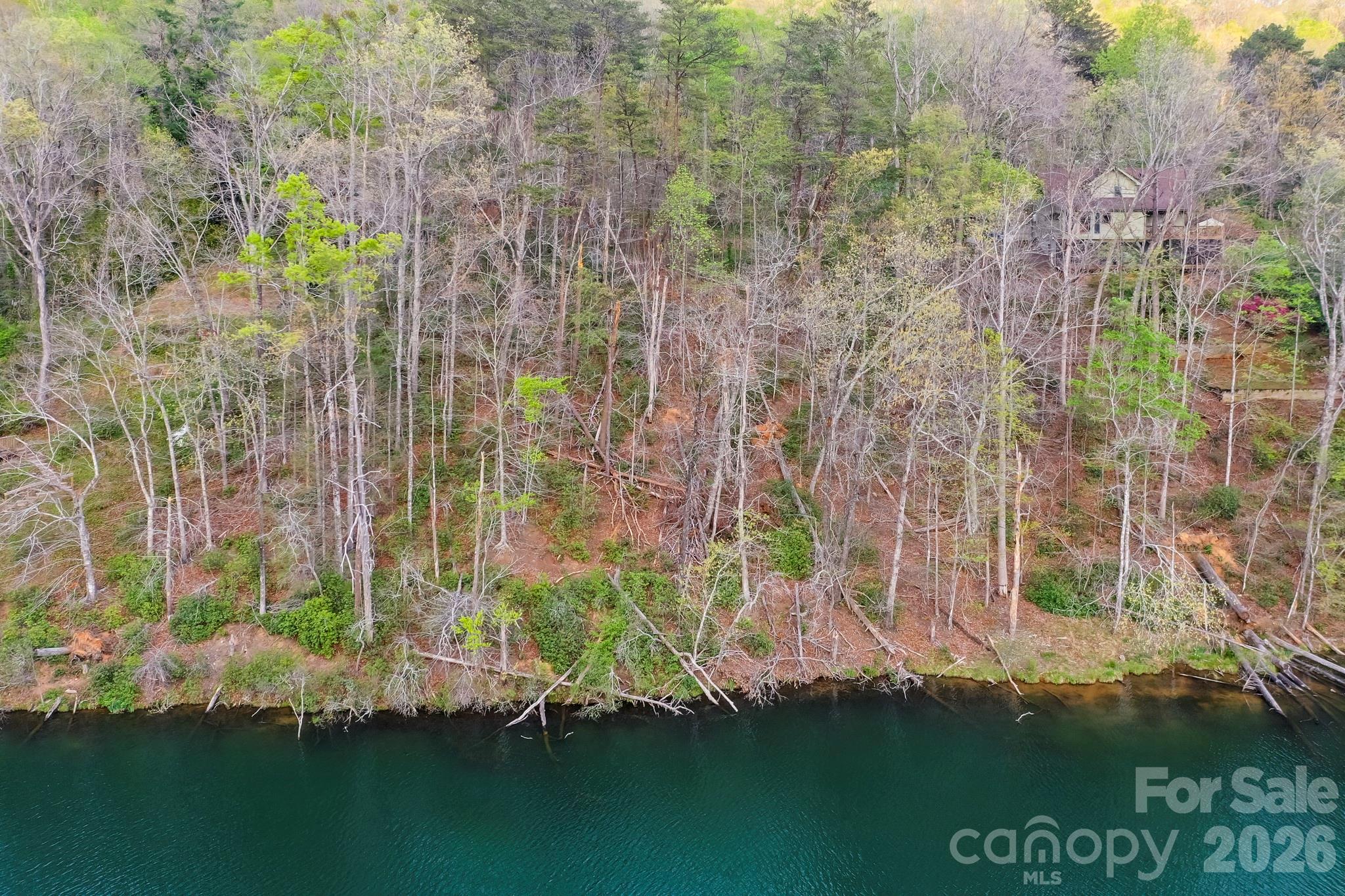 0 Buffalo Creek Road Lake Lure, NC 28746 - Photo 5 of 33 a view of a lake with a building in the background