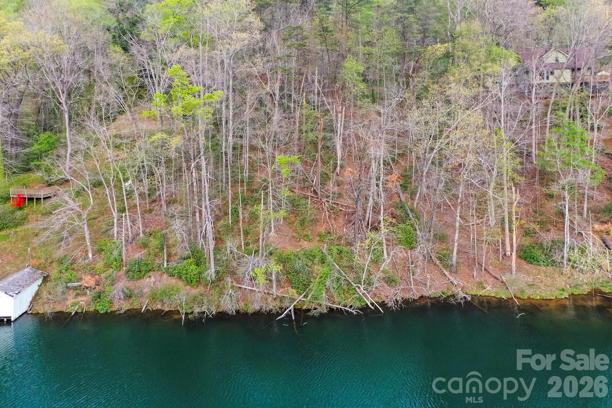 0 Buffalo Creek Road Lake Lure, NC 28746 - Photo 6 of 33 a view of a lake with houses