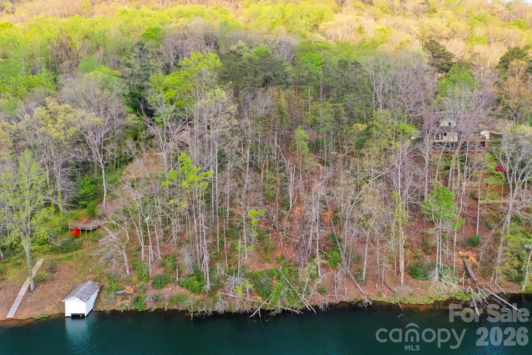 0 Buffalo Creek Road Lake Lure, NC 28746 - Photo 7 of 33 a view of outdoor space and mountain view