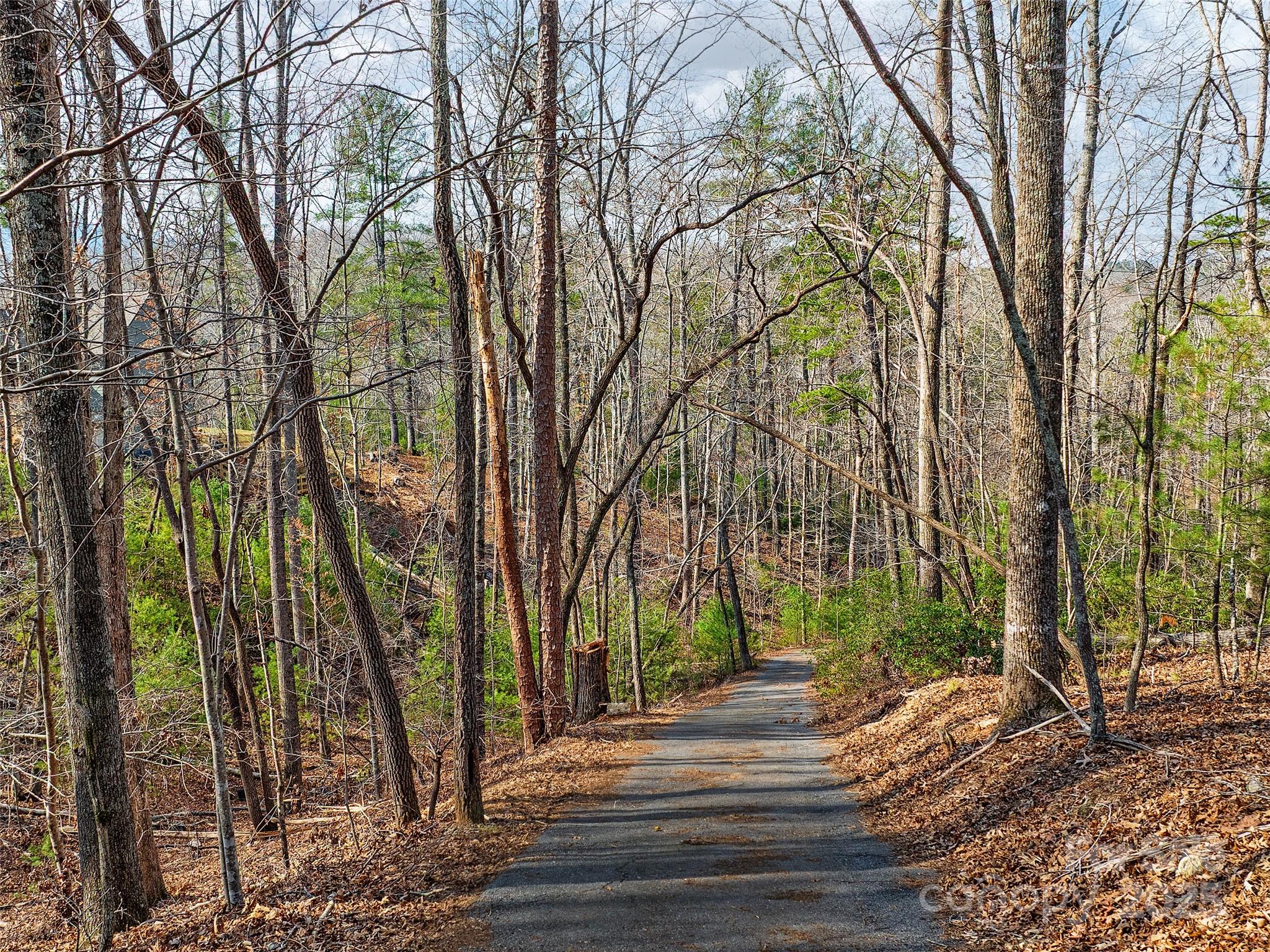 Lot 27 South Cove Rd Mill Spring Mill Spring, NC 28756 - Photo 11 of 20 a view of park with tree