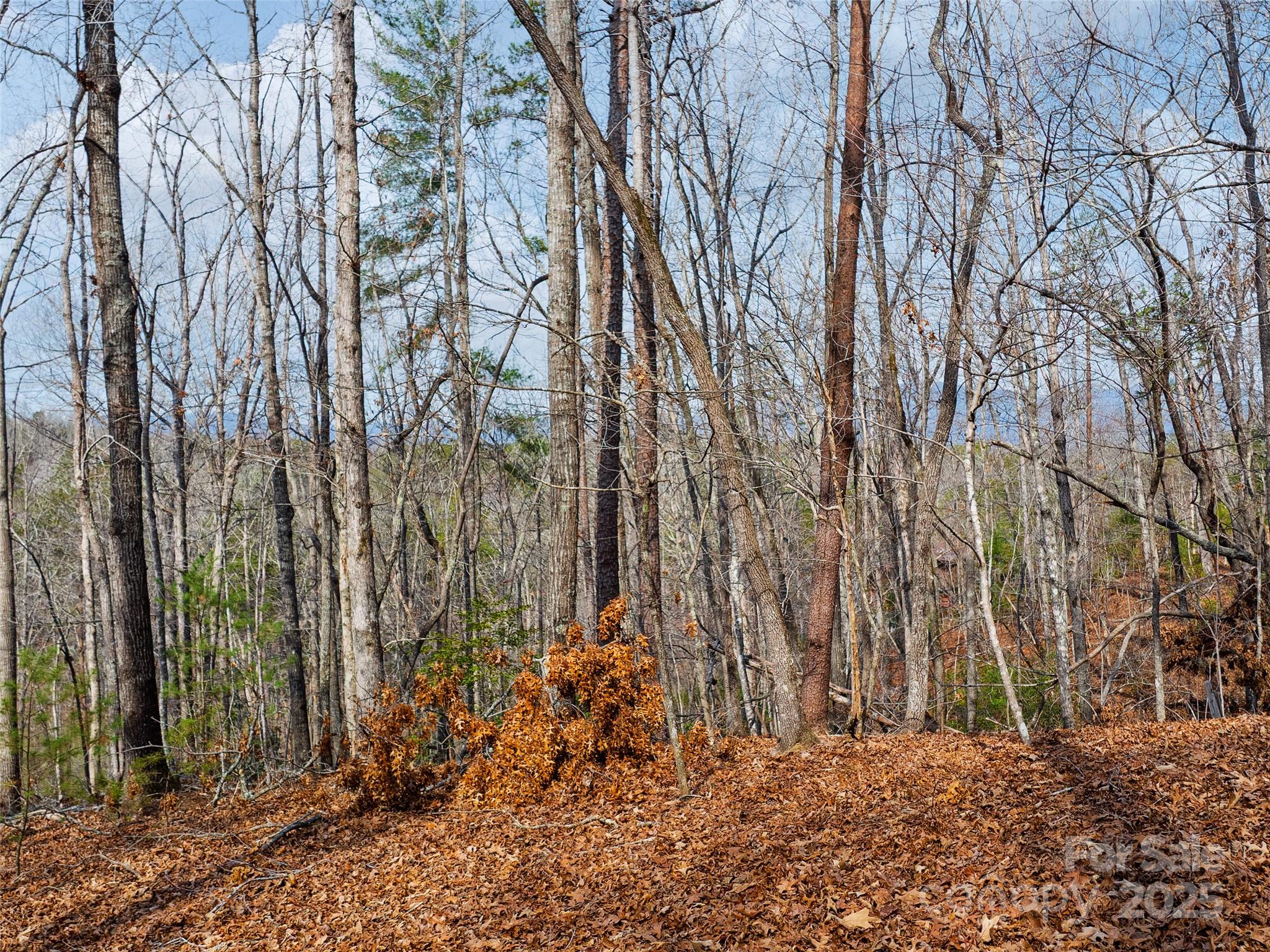 Lot 27 South Cove Rd Mill Spring Mill Spring, NC 28756 - Photo 12 of 20 a backyard of a house with lots of green space