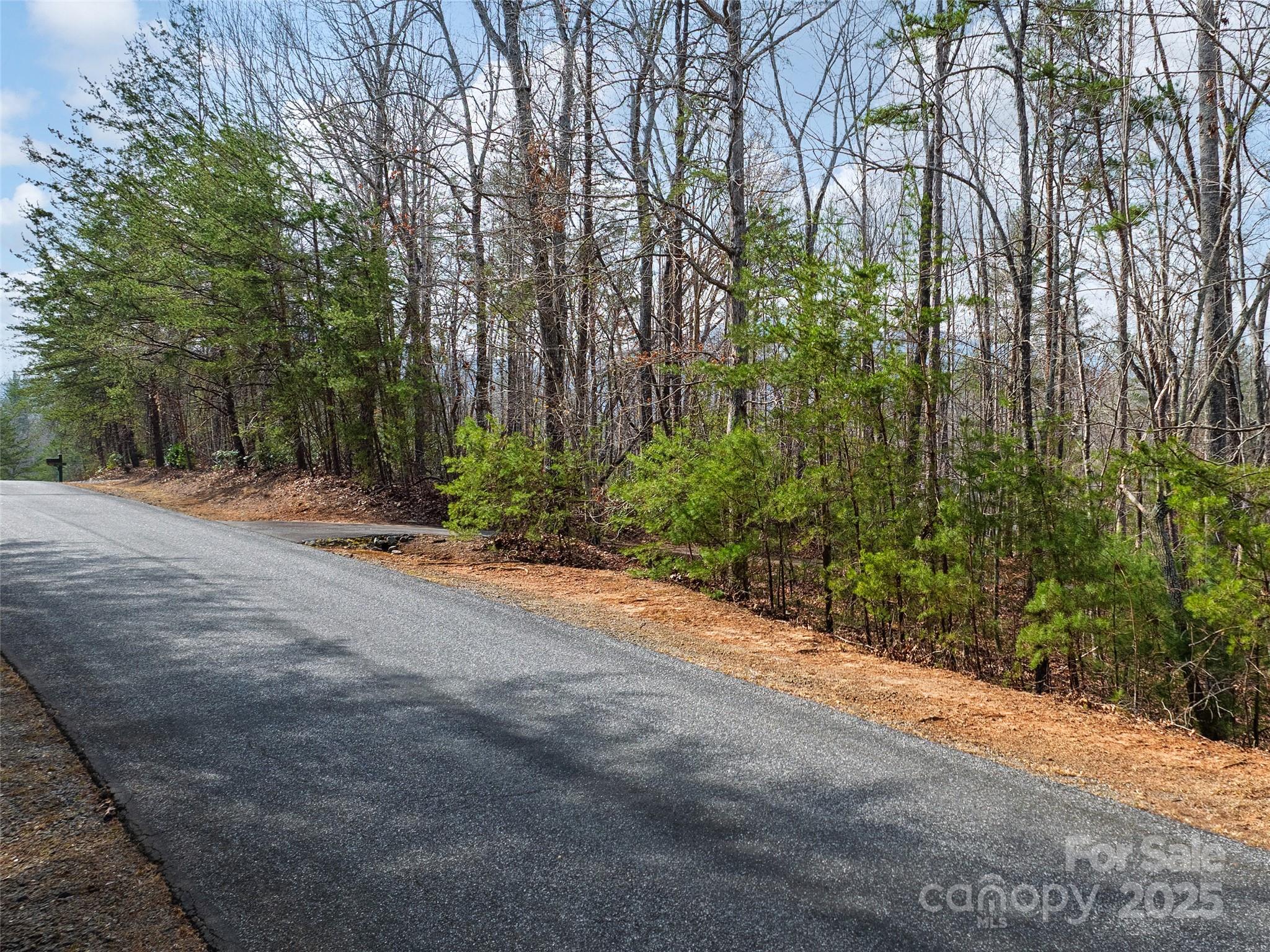 Lot 27 South Cove Rd Mill Spring Mill Spring, NC 28756 - Photo 13 of 20 a view of backyard space and trees