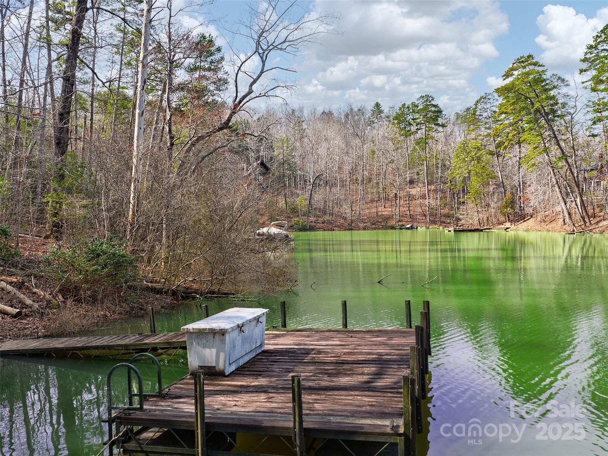 Lot 27 South Cove Rd Mill Spring Mill Spring, NC 28756 - Photo 2 of 20 a view of a table and chairs on the deck