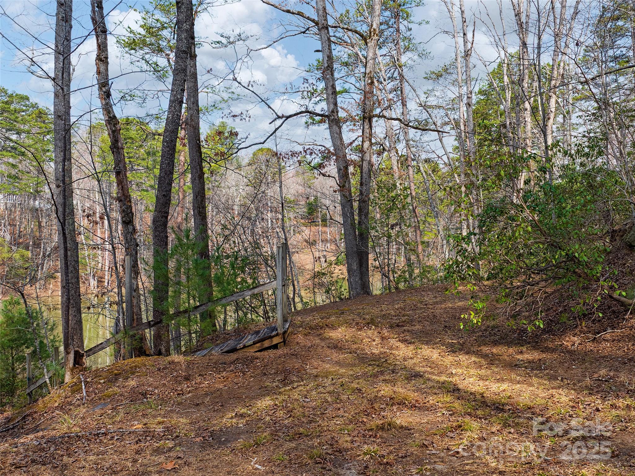Lot 27 South Cove Rd Mill Spring Mill Spring, NC 28756 - Photo 4 of 20 a backyard of a house with lots of green space