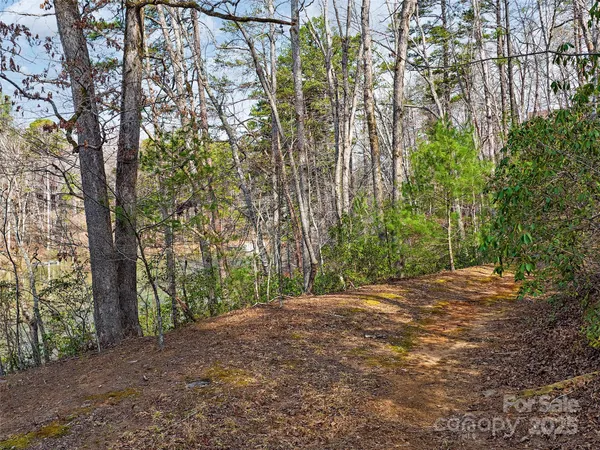 a view of a yard with plants and trees