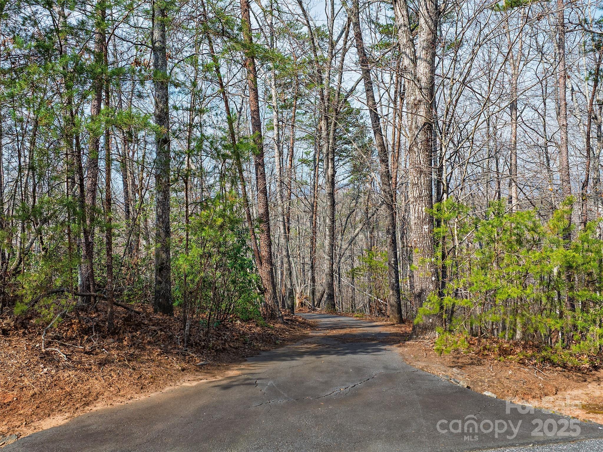 Lot 27 South Cove Rd Mill Spring Mill Spring, NC 28756 - Photo 10 of 20 a backyard of a house with lots of green space