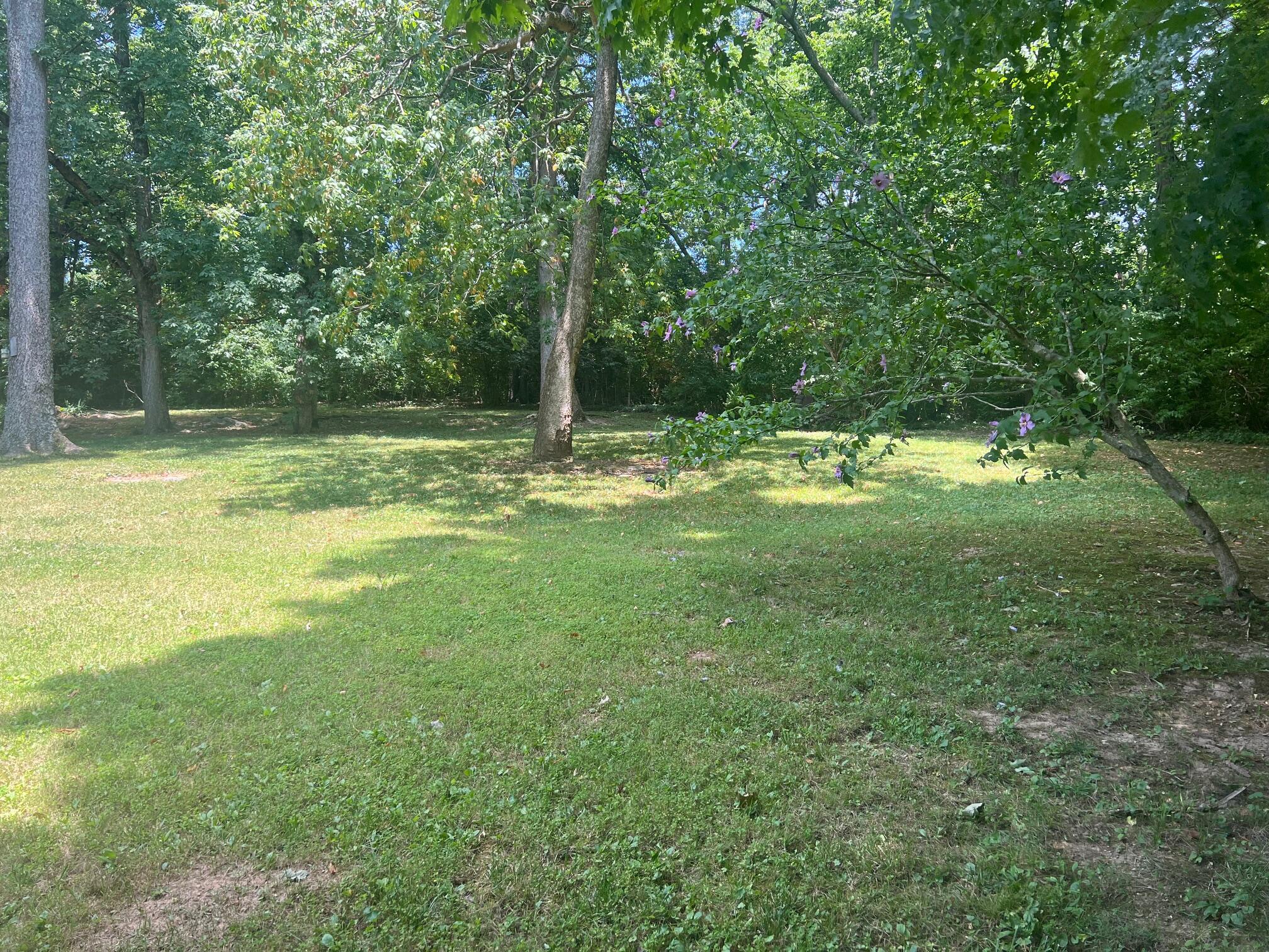 1976 Kennedy Bridge Road Lancaster, KY 40444 - Photo 9 of 32 IMG_3718