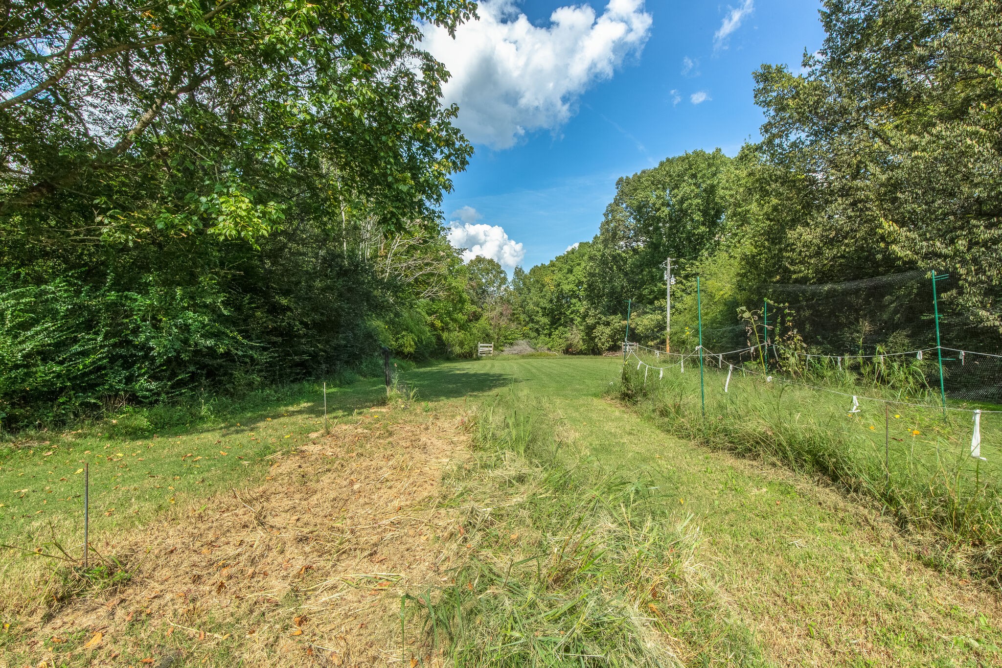 10221 Ed Lyell Road Lyles, TN 37098 - Photo 20 of 27 a view of lake with green space