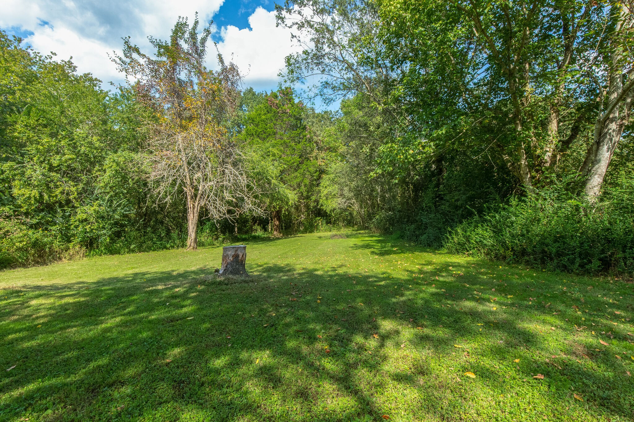 10221 Ed Lyell Road Lyles, TN 37098 - Photo 21 of 27 a park view with a fountain
