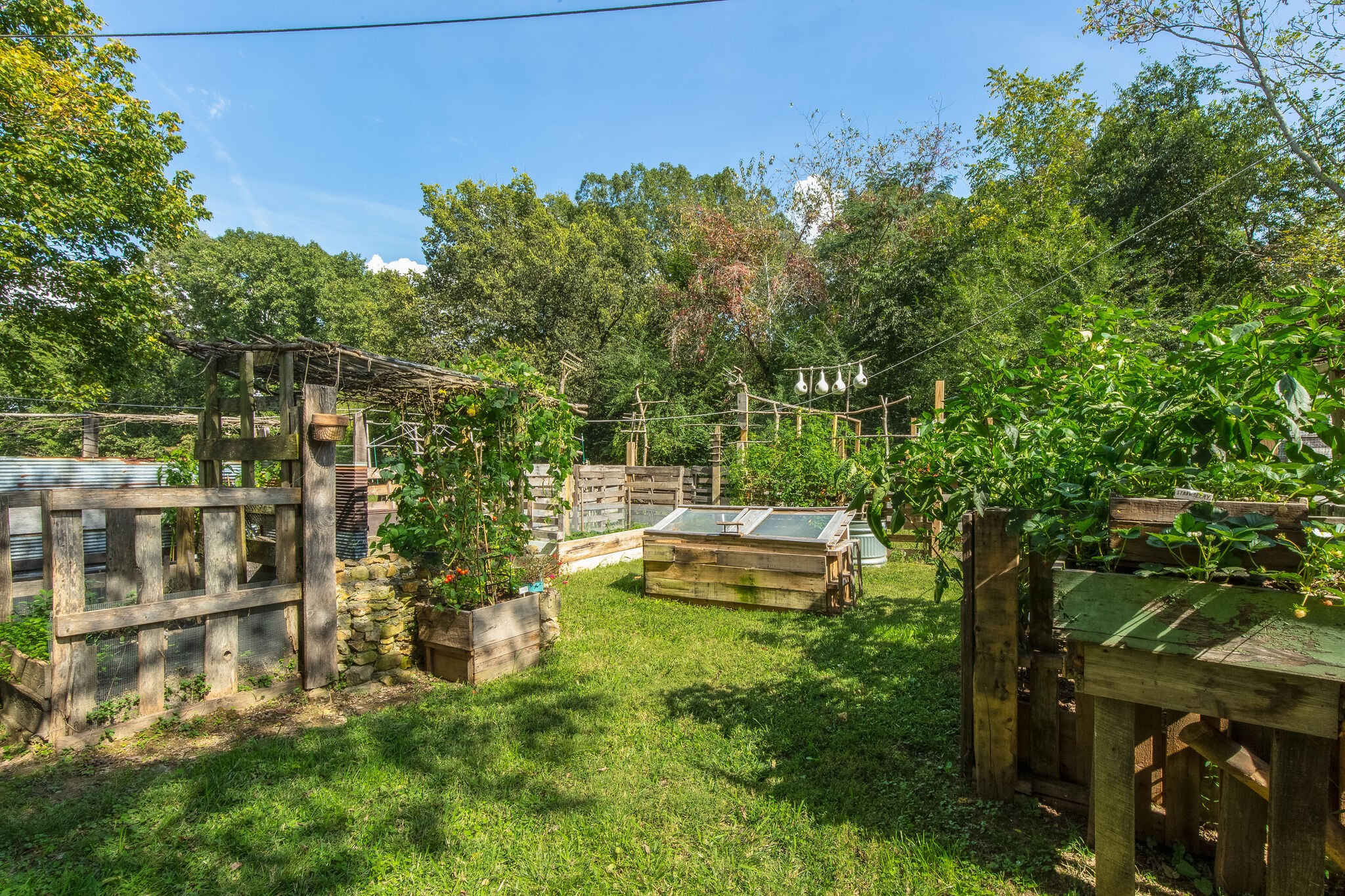 10221 Ed Lyell Road Lyles, TN 37098 - Photo 23 of 27 a view of yard with green space