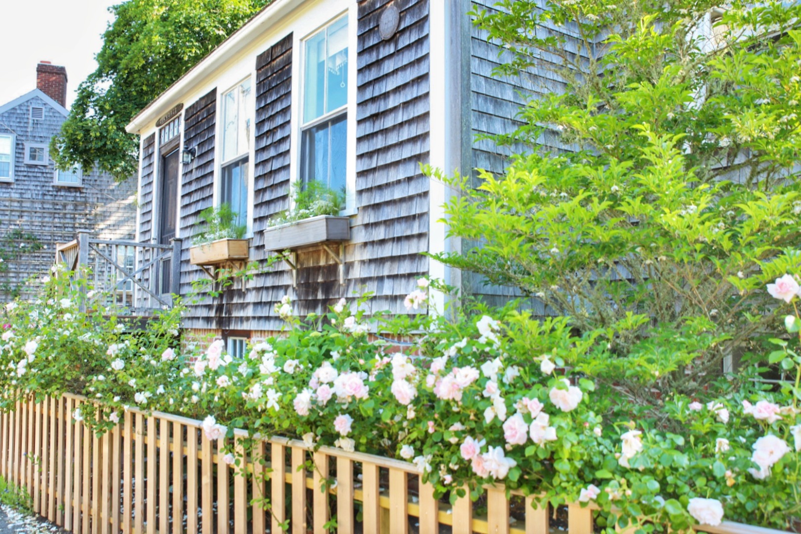 40 Pine Street Nantucket, MA 02554 - Photo 32 of 34