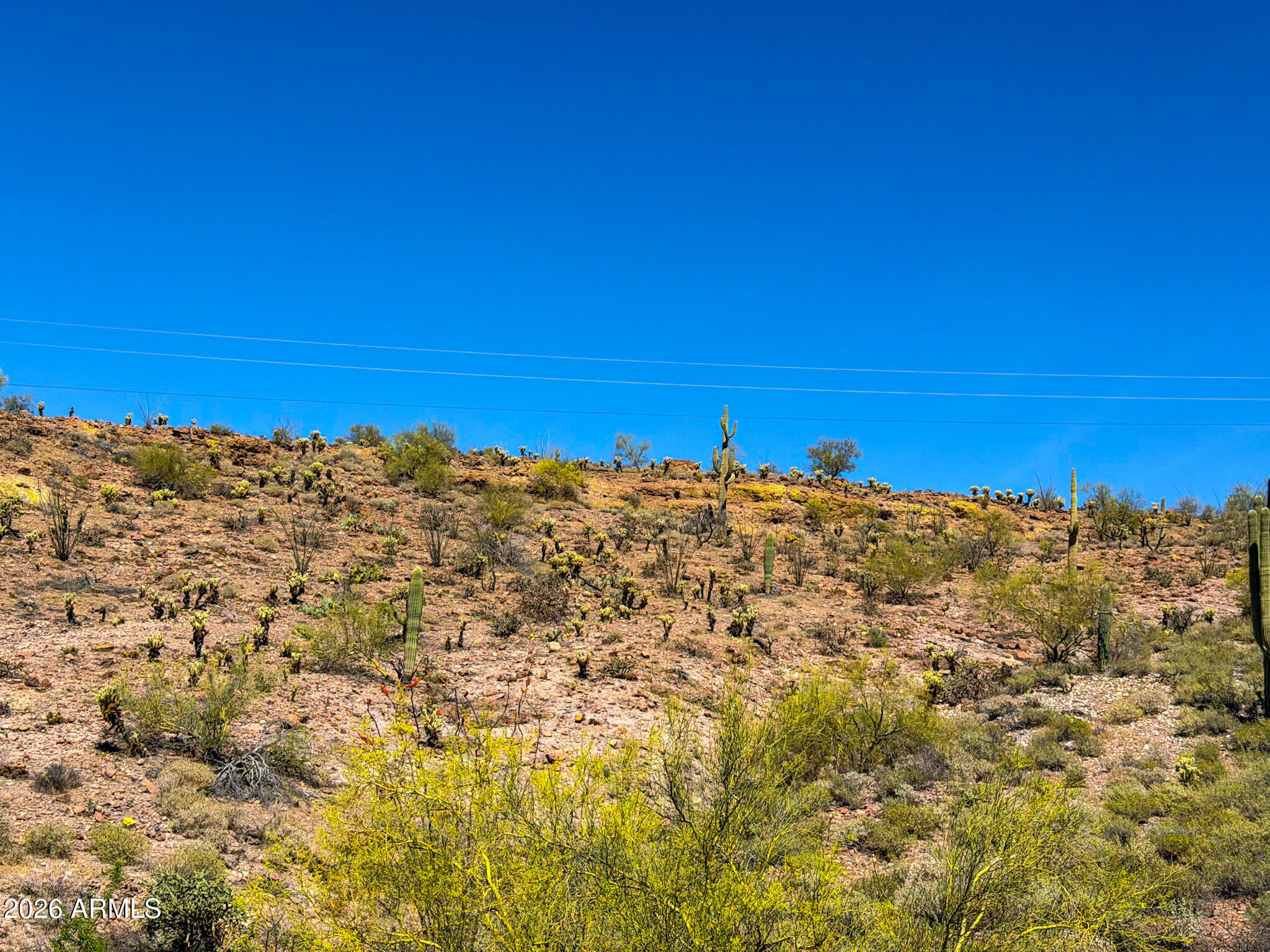 0 North Elephant Butte Road Gold Canyon, AZ 85118 - Photo 20 of 30 IMG_0054