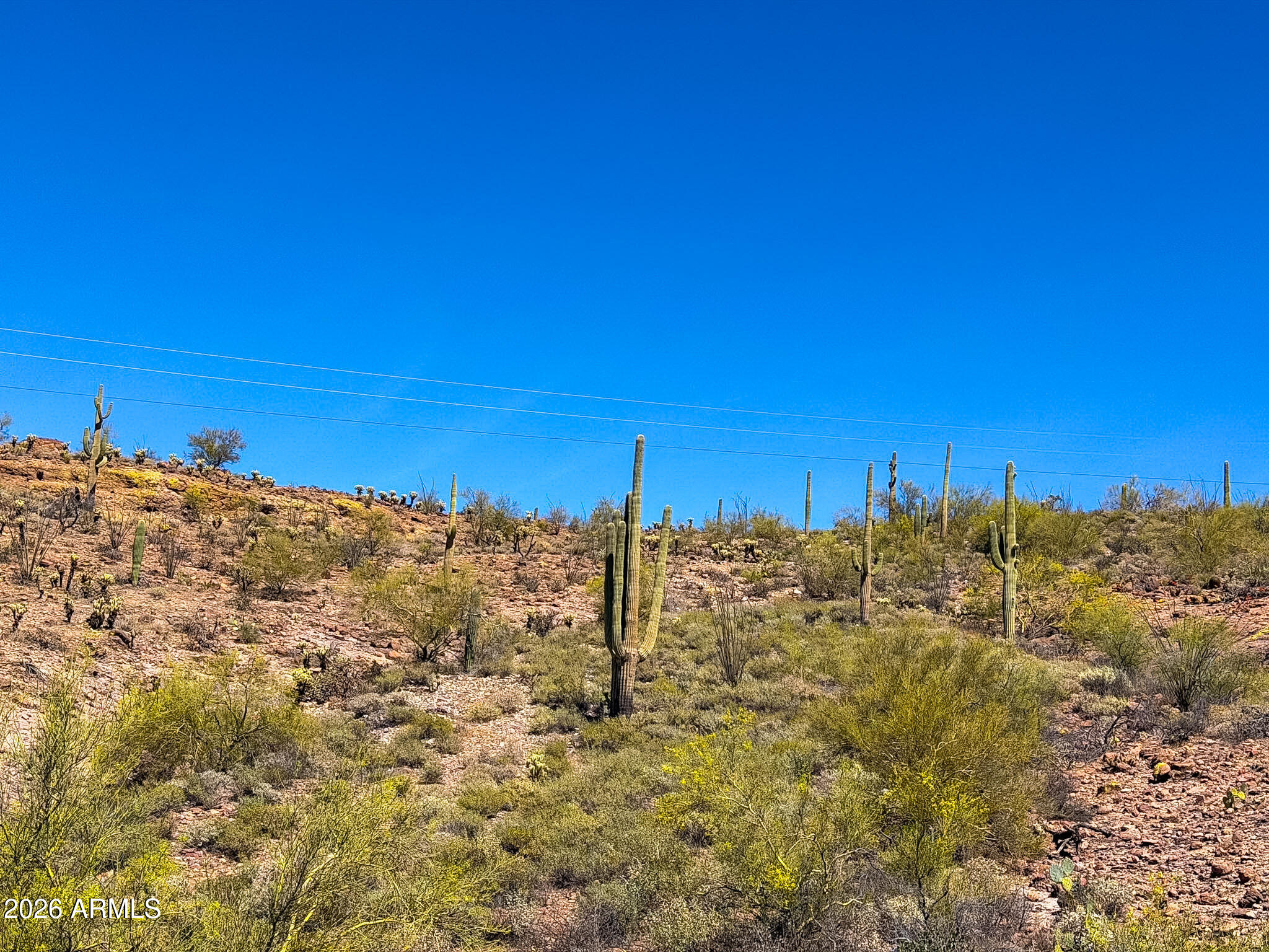 0 North Elephant Butte Road Gold Canyon, AZ 85118 - Photo 21 of 30 IMG_0055
