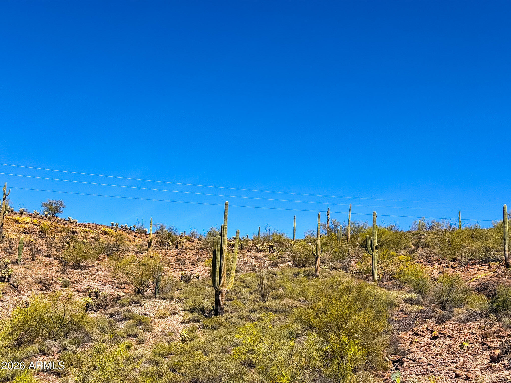 0 North Elephant Butte Road Gold Canyon, AZ 85118 - Photo 22 of 30 IMG_0056